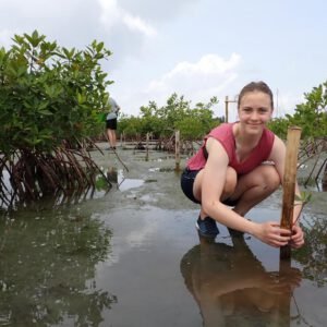 Reefs & Roots - Image 2