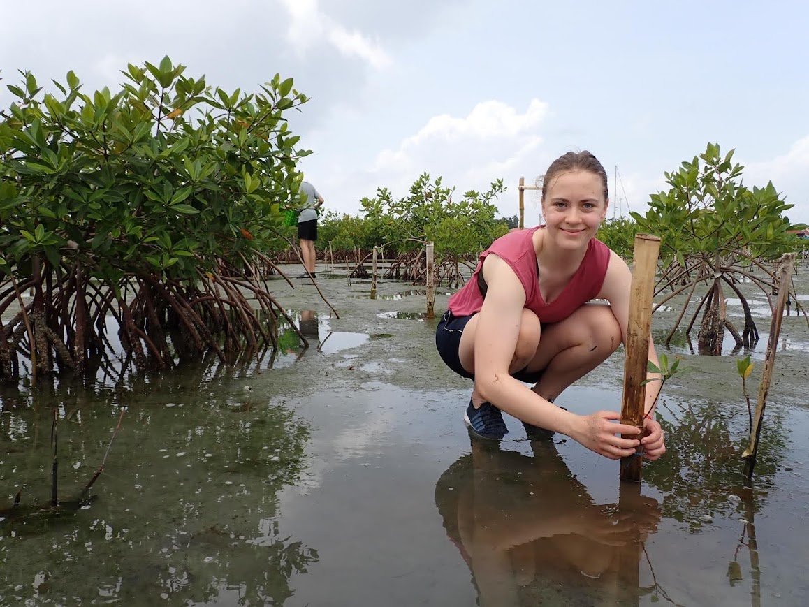 Reefs & Roots - Image 2